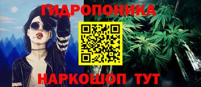 соль ск Будённовск
