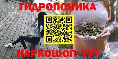 a pvp Бугуруслан